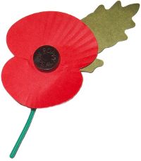 The Remembrance Poppy