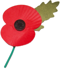 Remembrance poppy